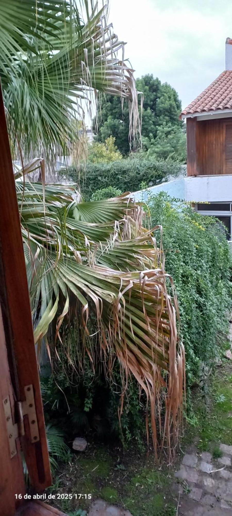 Ezeiza Bed And Breakfast Exterior foto